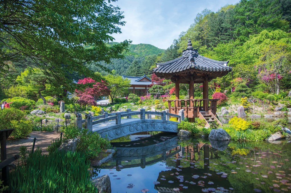 The Garden of Morning Calm