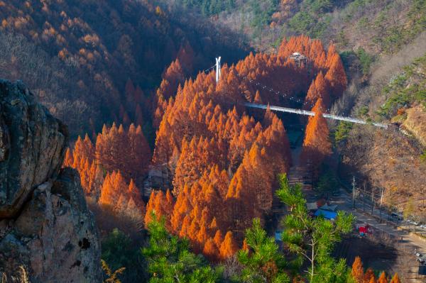 Bosque y aguas termales, un viaje de sanación perfecto