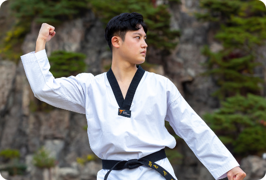 Programas de taekwondo