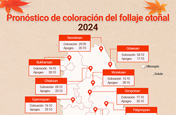 Pronóstico de coloración del follaje otoñal 2024