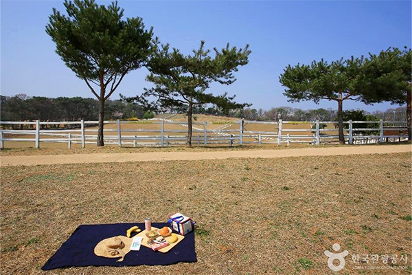 Goyang: descanso urbano y bienestar revitalizante